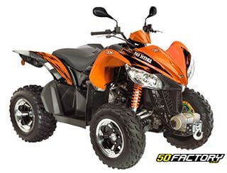 gatto artico xc450i